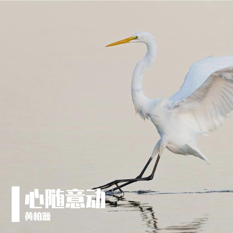 每天爱你多一些伴奏封面