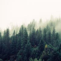 Ruido Blanco Para Bebes - Lago En Quietud