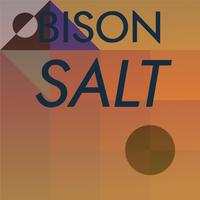 Bison Salt