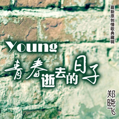 寂寞的感觉_郑晓飞_青春逝去的日子 | 在线播放_寂寞的感觉歌词_寂寞的感觉下载 | 网易云音乐