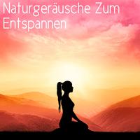 Naturgeräusche Zum Entspannen