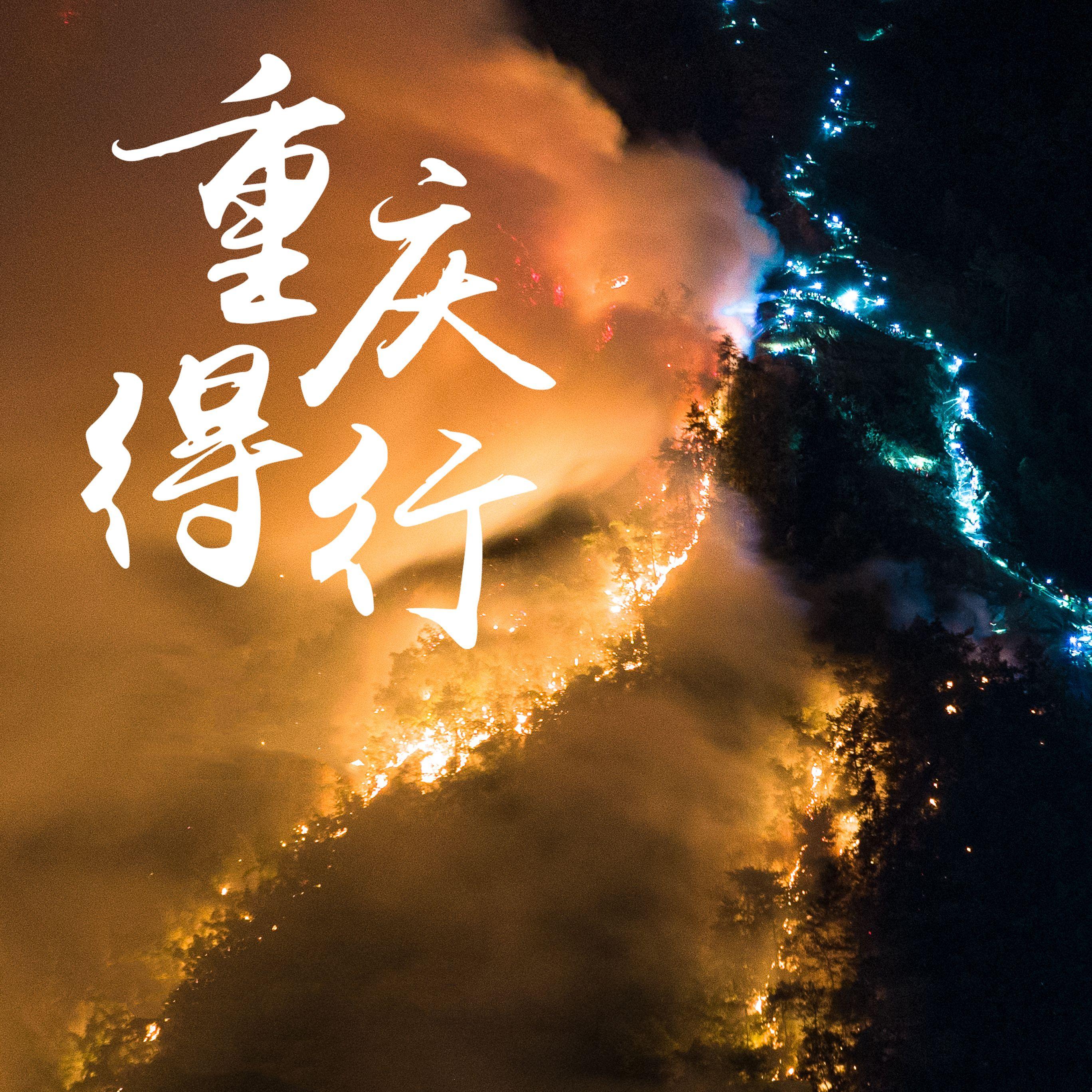 重庆得行封面