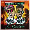 Kronic - Hey Ho (Pantheon Remix)