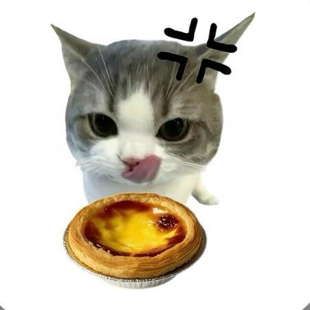 月亮也孤独寂寞