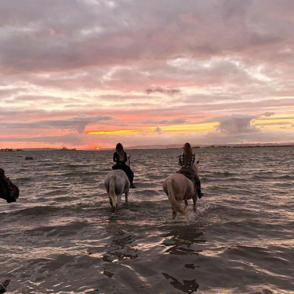 给你呀DJ（0.8X）