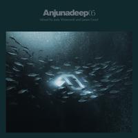 Anjunadeep:05