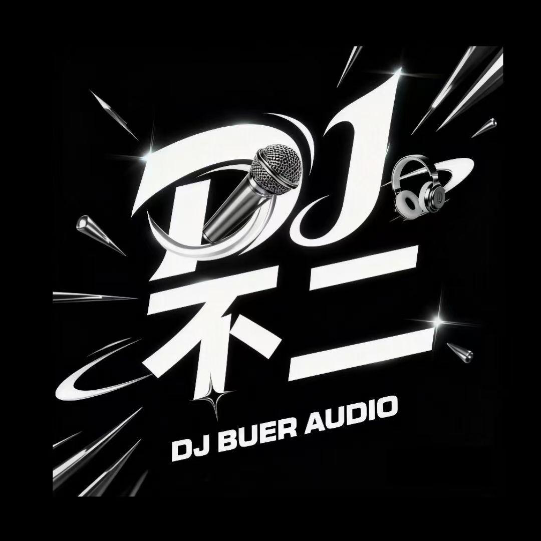 大头针AI - 泪海(DJ不二 FunkyHouse Rmx 2025)空灵鼓