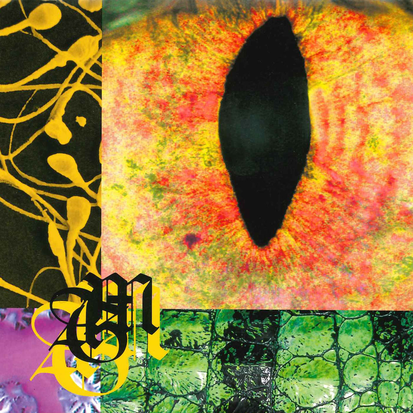 Ain't Nobady To Love