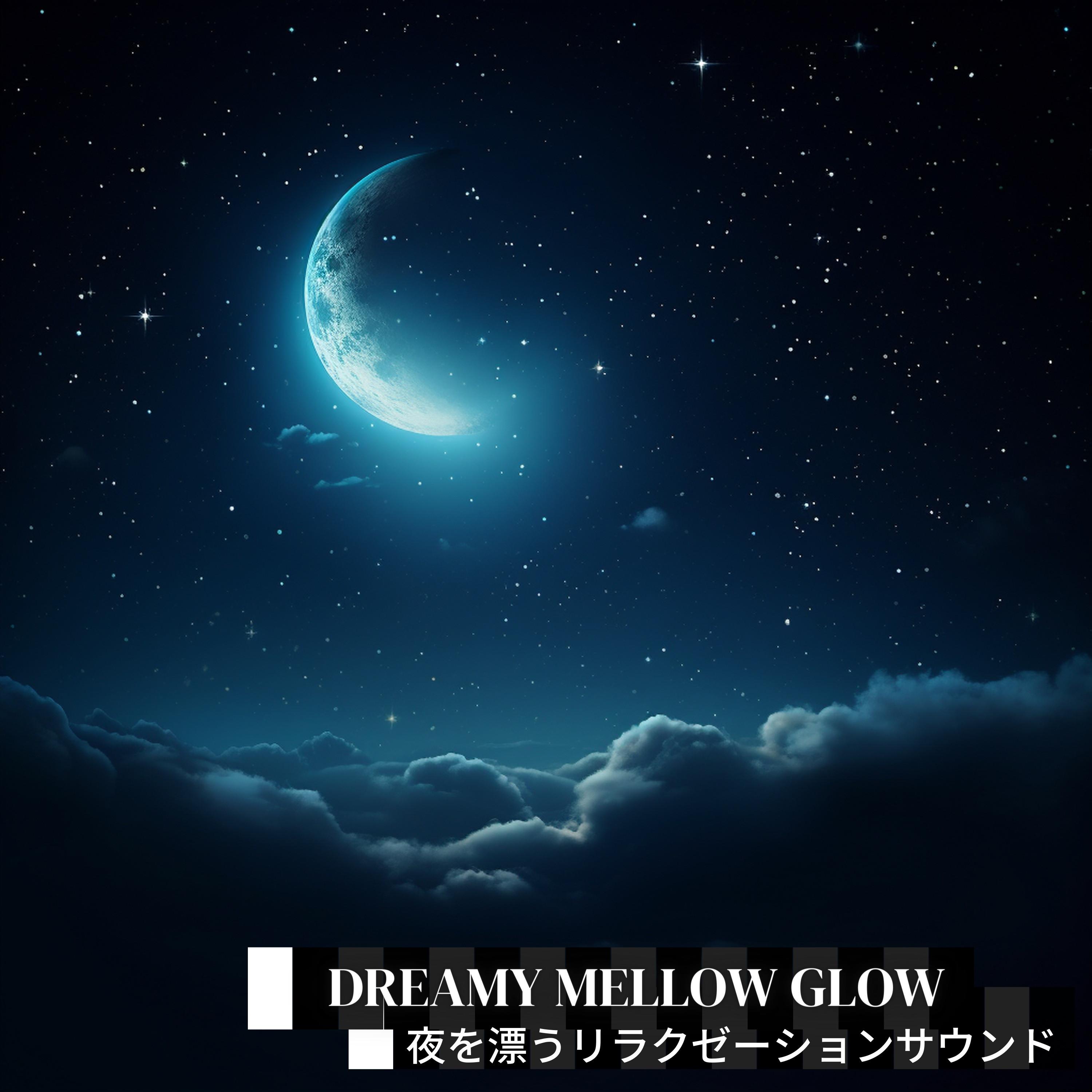 Starlit Sky and Silent Thoughts