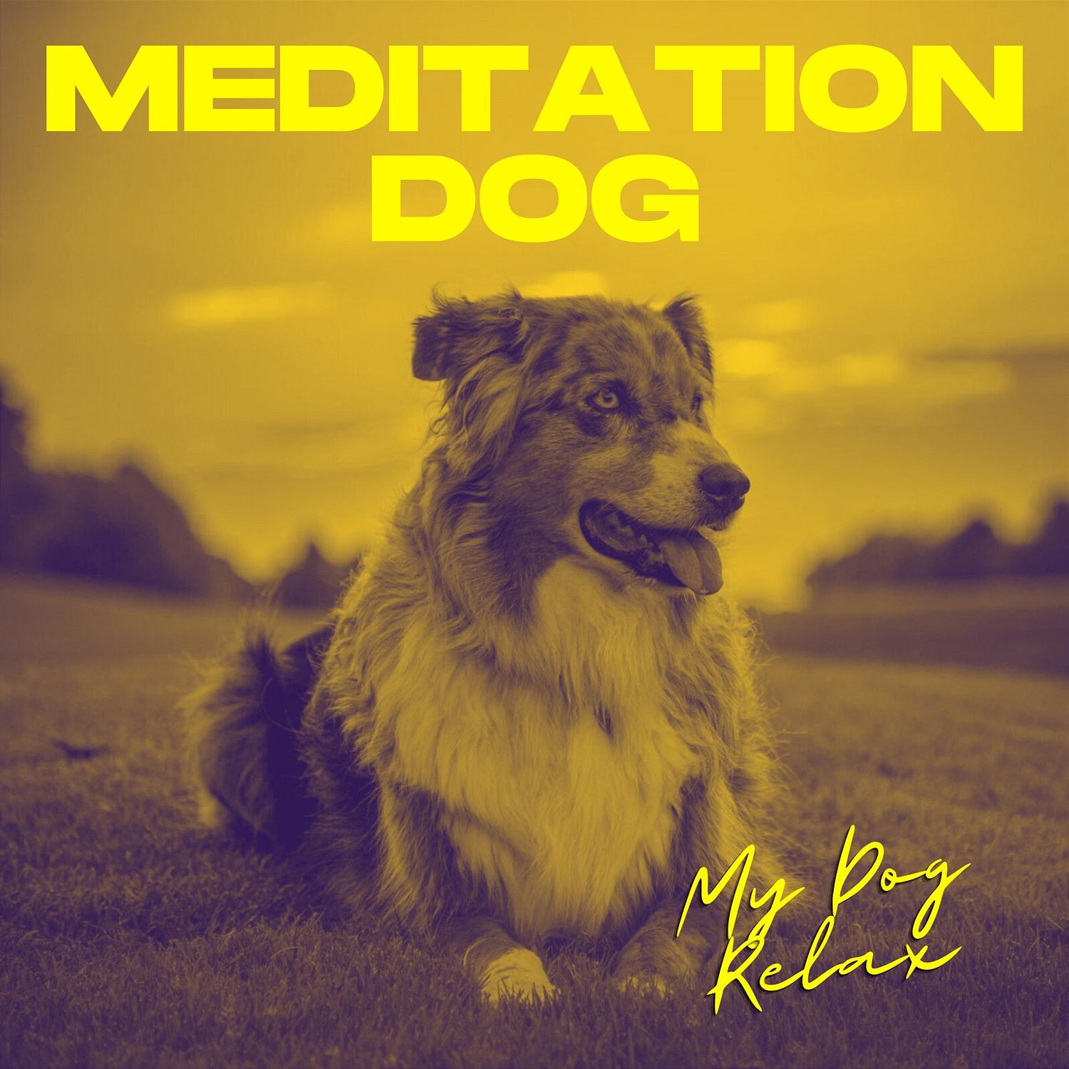 Relaxing Puppy Music My Dog Relax 单曲 网易云音乐