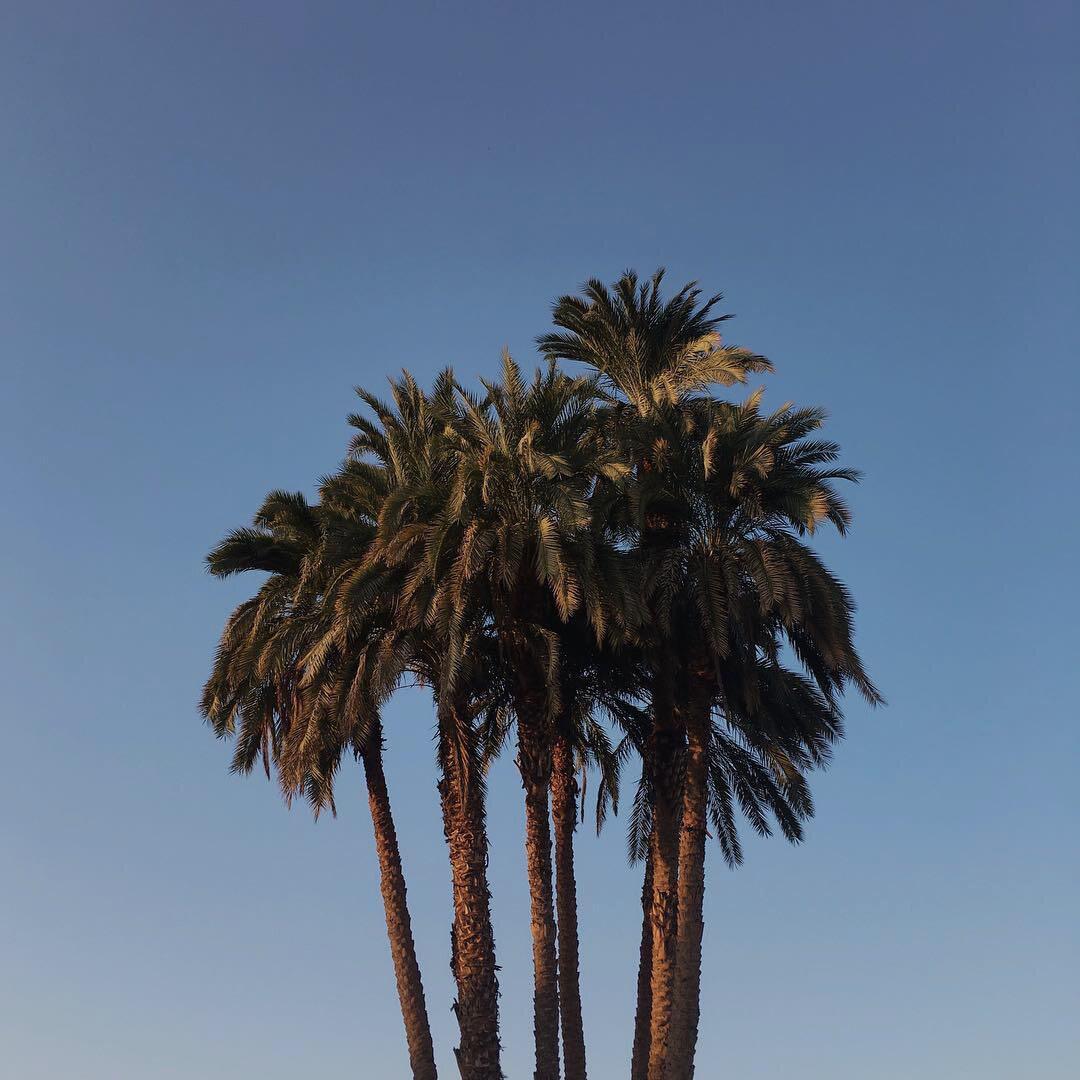 Gustavo Santaolalla-Babel (Omar'K Ver.)（VaSka / 品味 / CaSsie / 马思远Music remix）