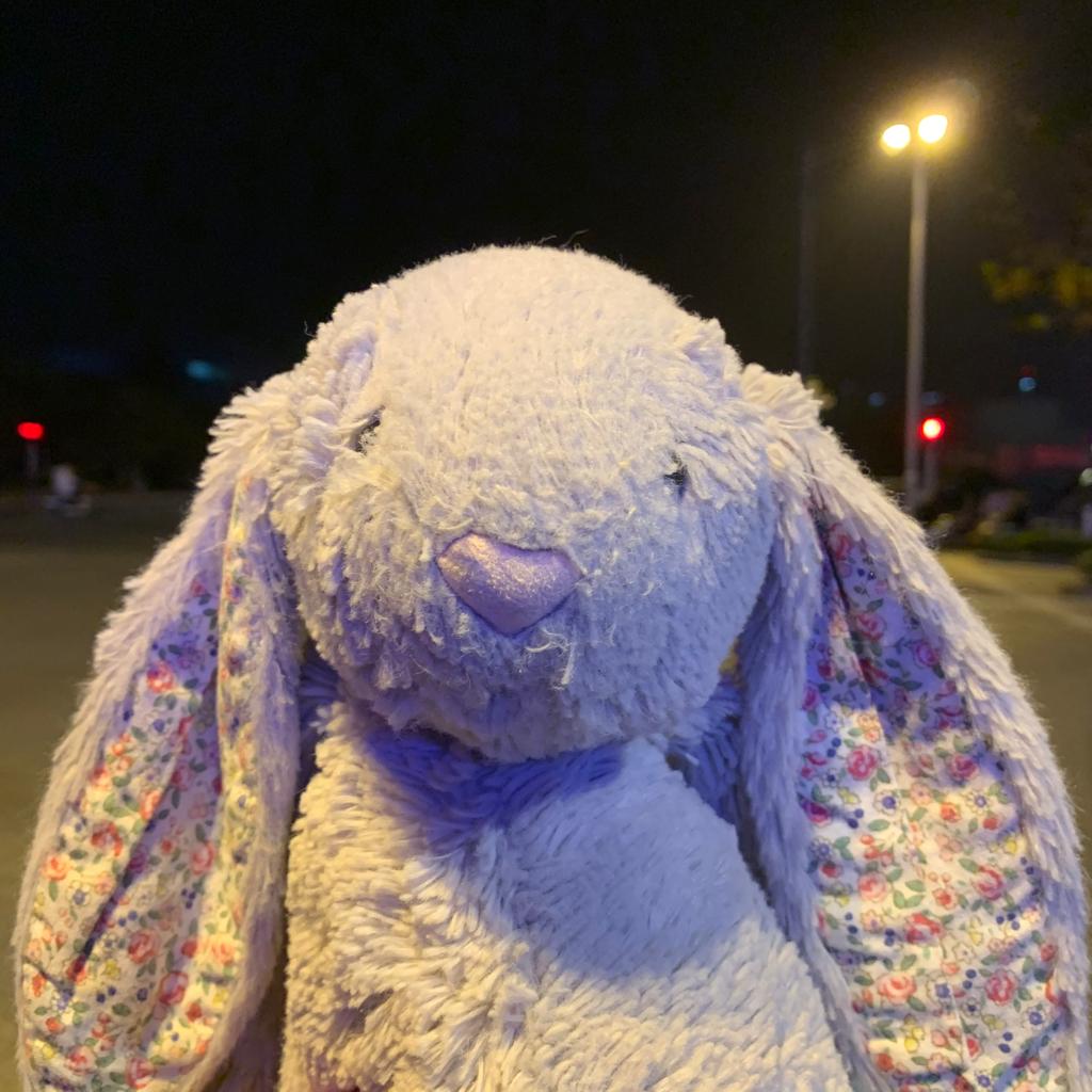 英文朗读&对话（助眠）