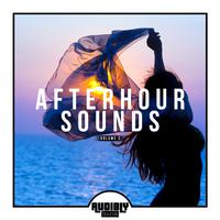 Afterhour Sounds, Vol. 2