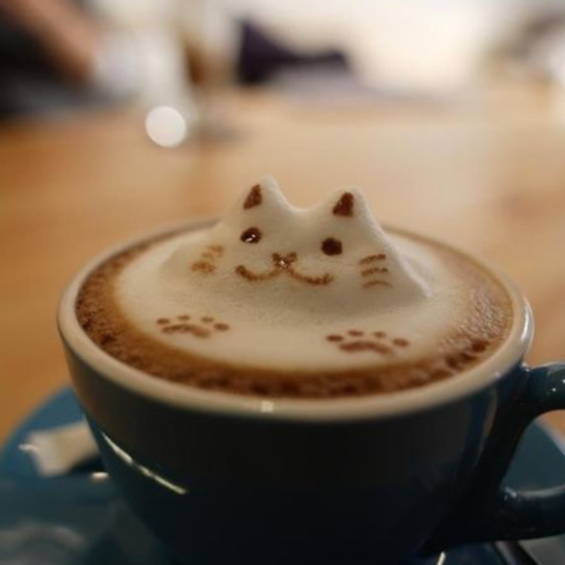 欧美R&B | 弥漫着咖啡香的慵懒下午