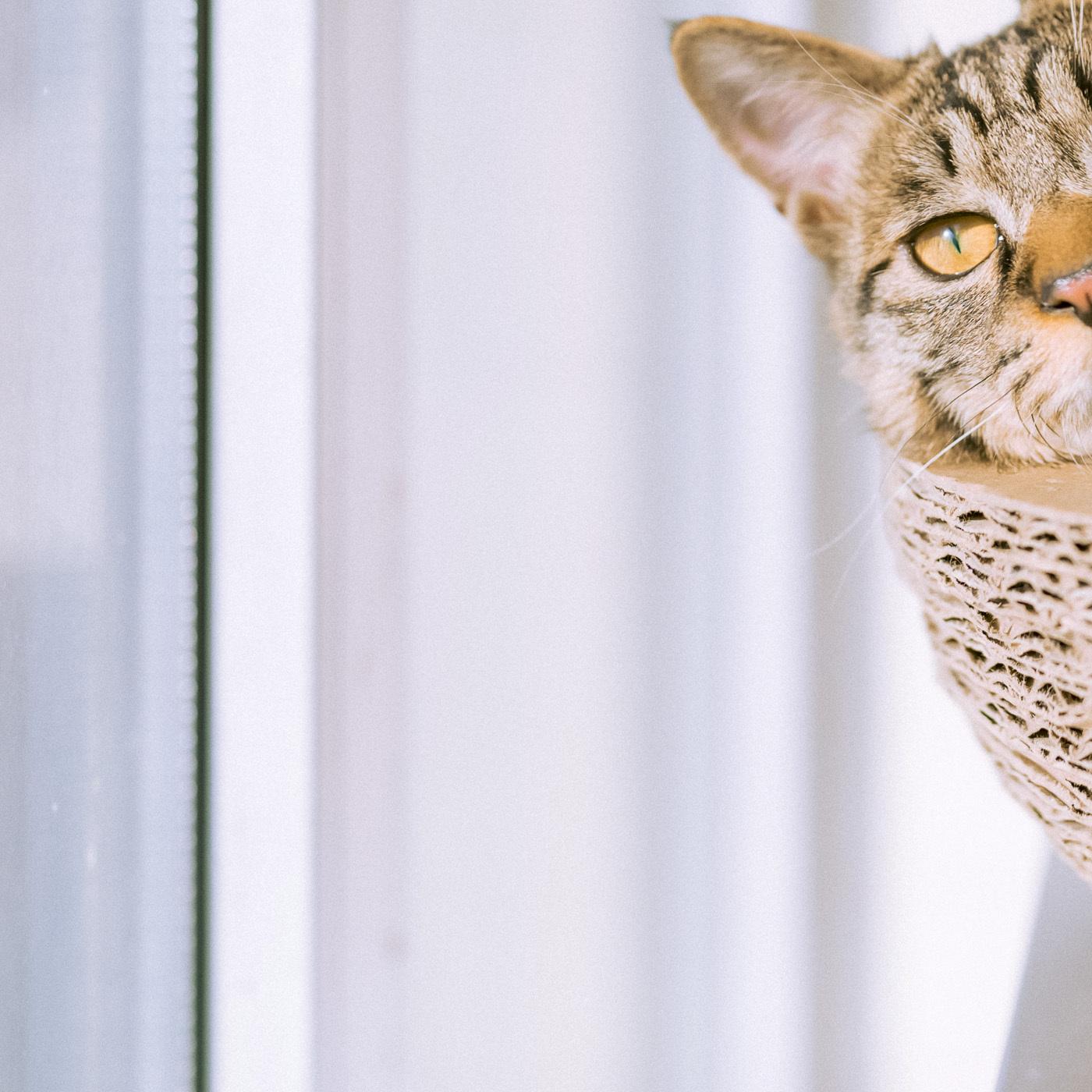 Snoozify White Noise For Babies/White Noise Baby Sleep/Sleep Sounds