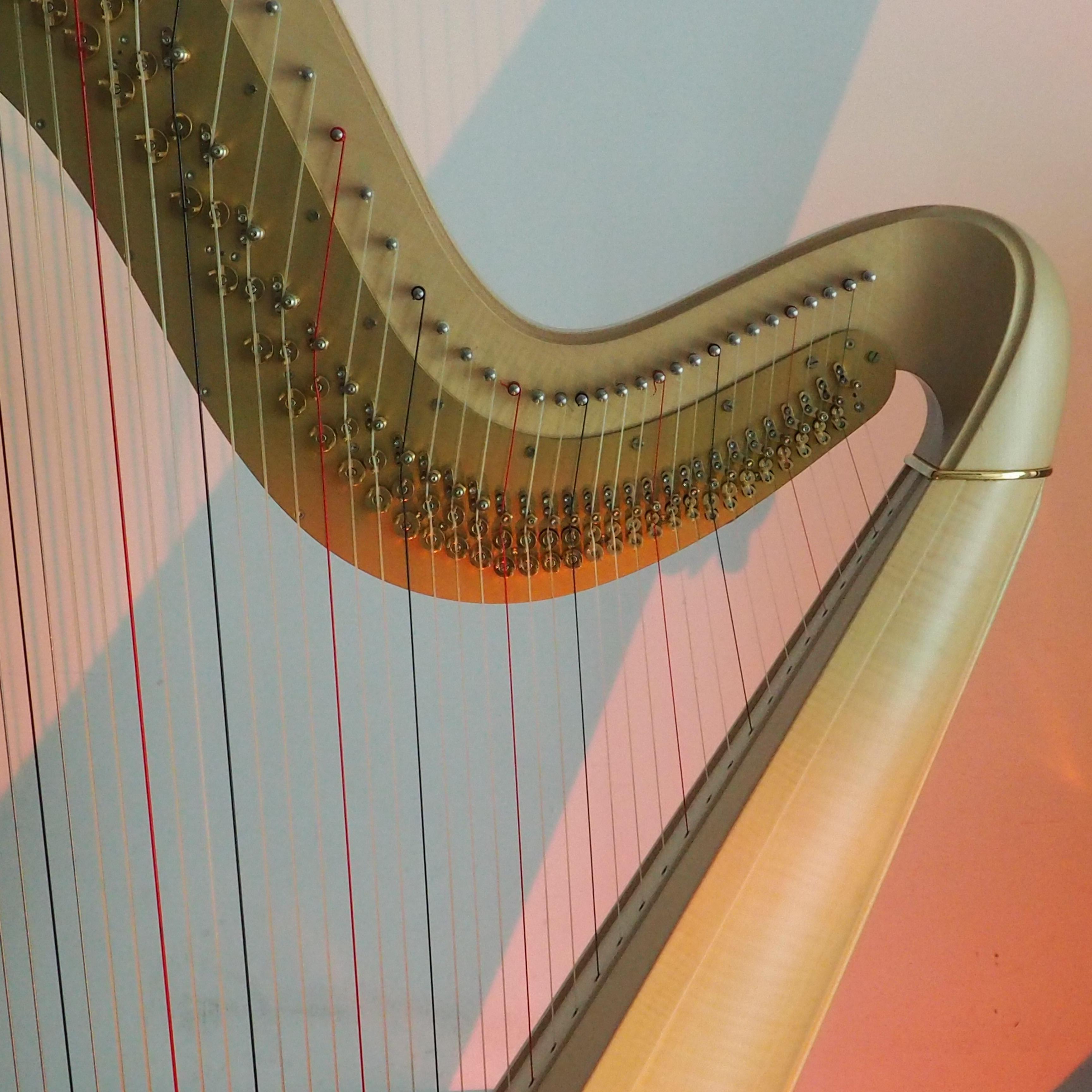 Mystery of love 竖琴版