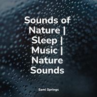 Sounds of Nature | Sleep | Music | Nature Sounds