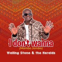 I Don't Wanna (Mombo Jombo)