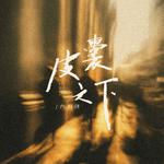 皮囊之下专辑