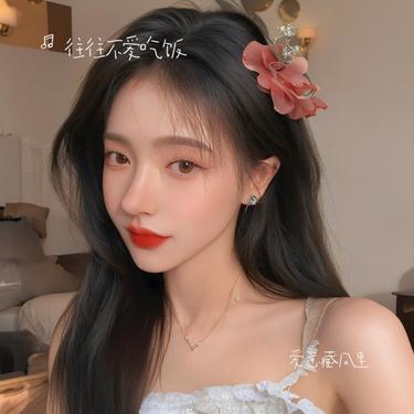 爱意藏风里封面