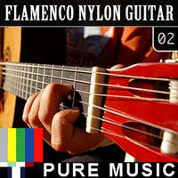 Flamenco Nylon Guitar, Vol. 2