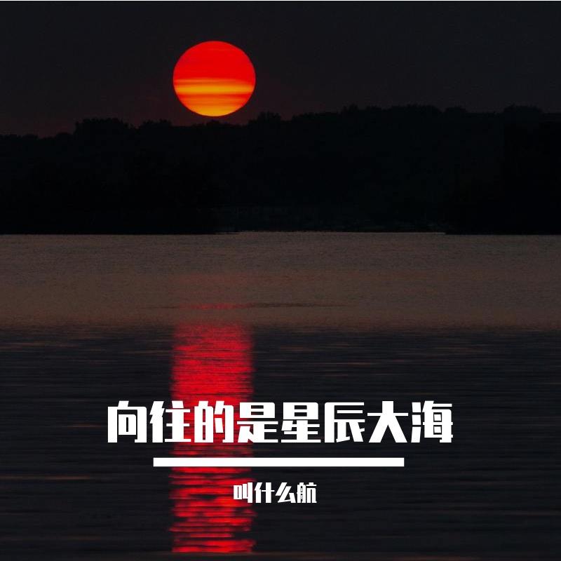 该释怀了(Remix)封面