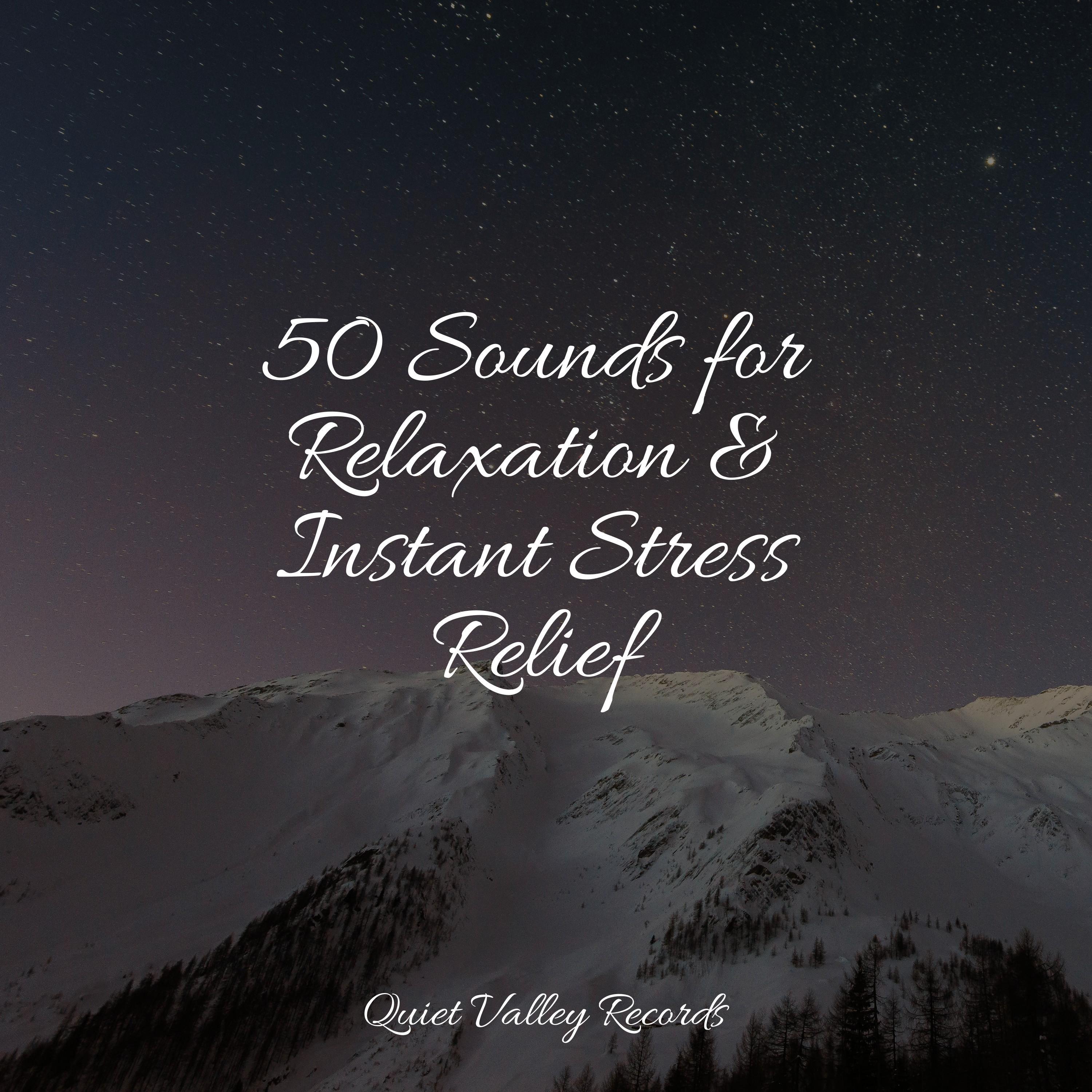 Instant Stress Relief: Your Local Massage Sanctuary Awaits - gahxugo