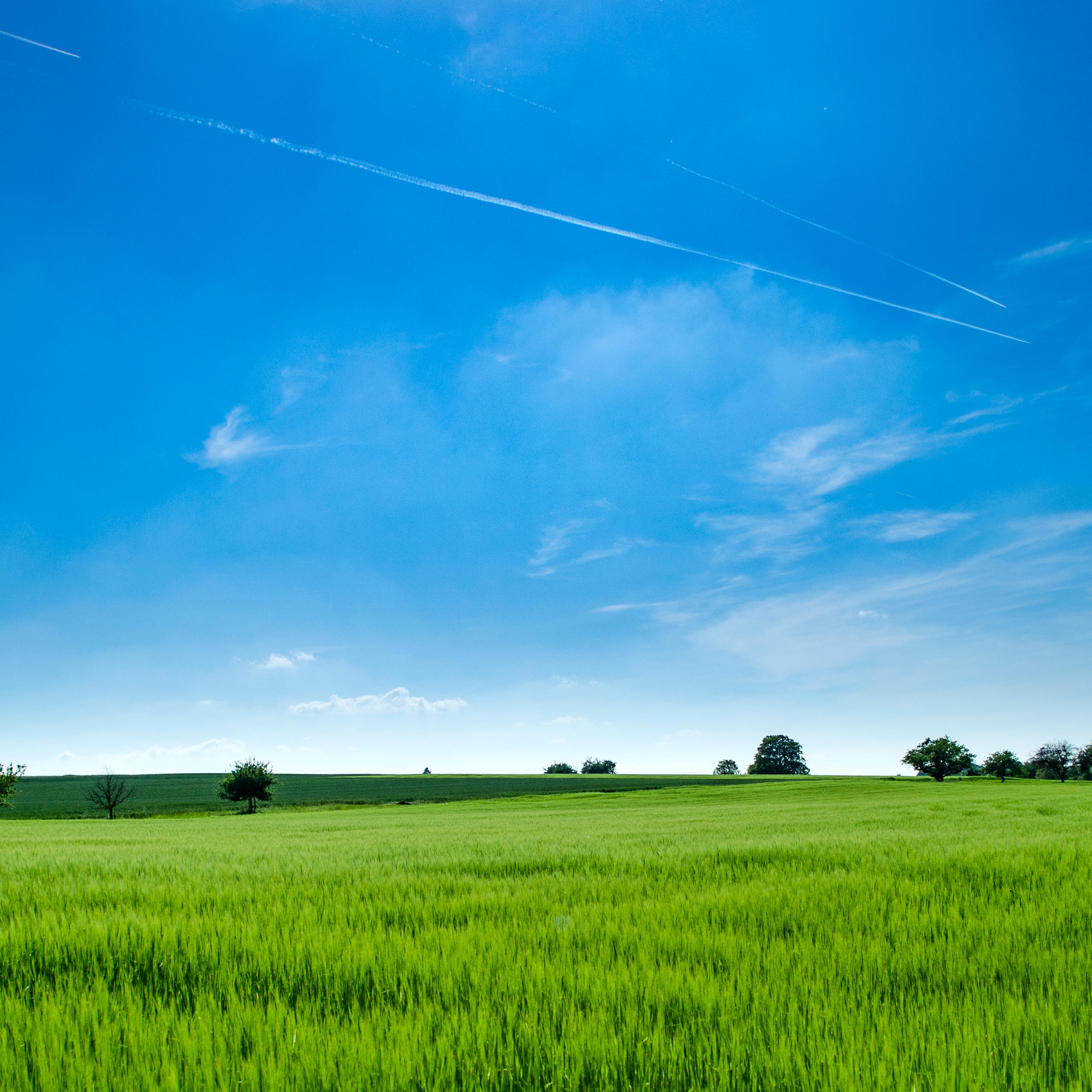 Las Estrellas De Arriba