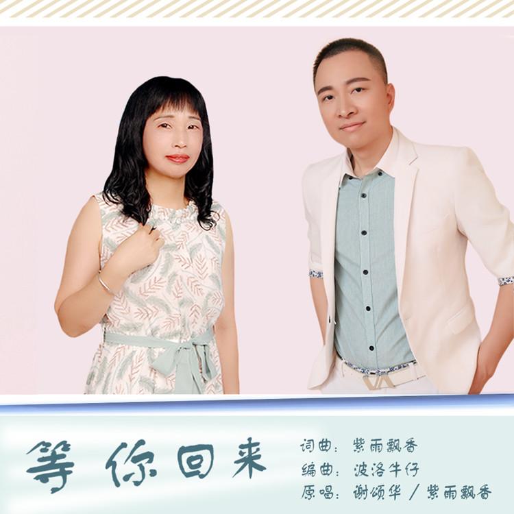 等你回来封面