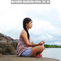 Incredible Meditation Vibes, Vol. 05