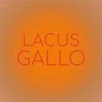 Lacus Gallo