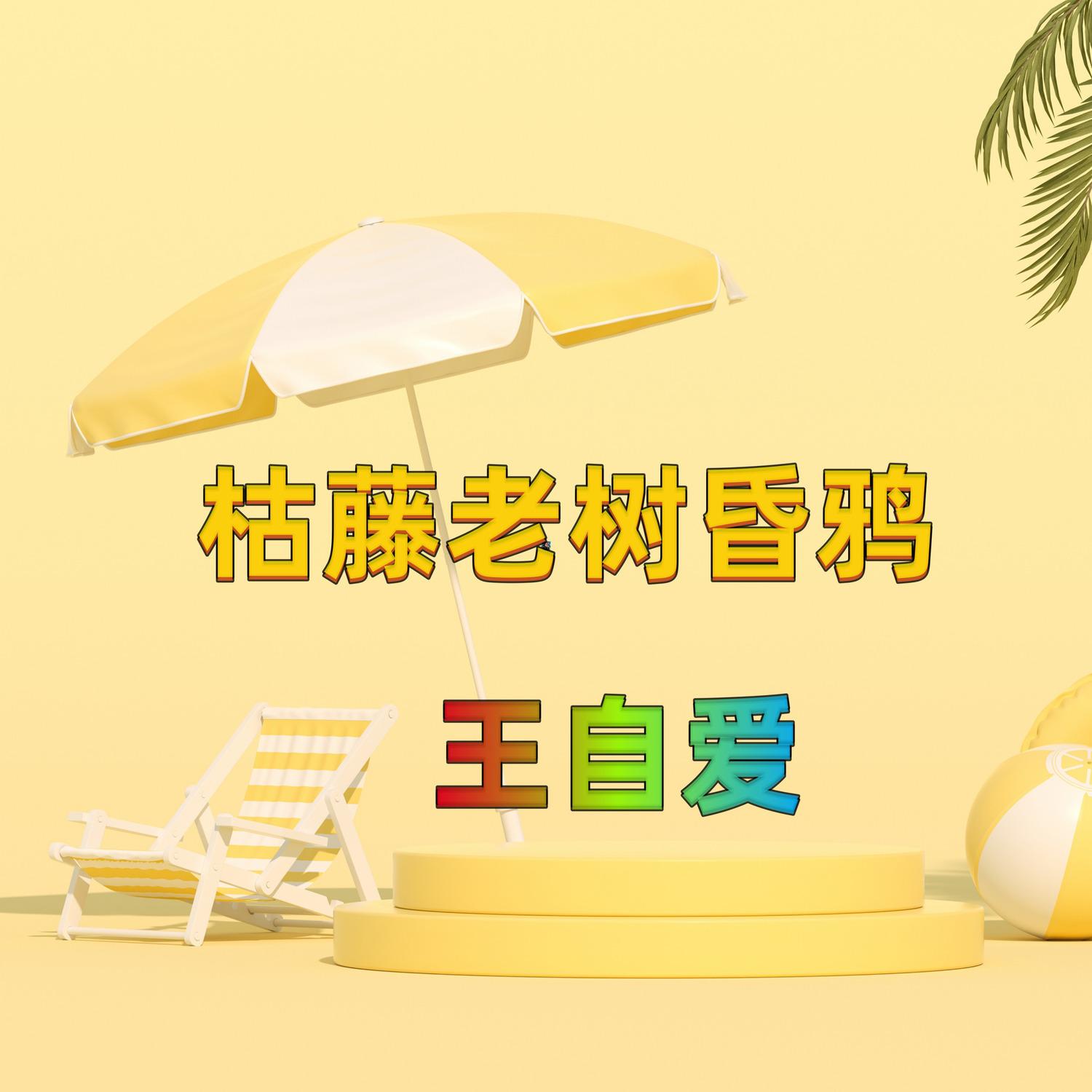 感叹于世界之大 - 王自爱封面