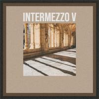 Intermezzo V