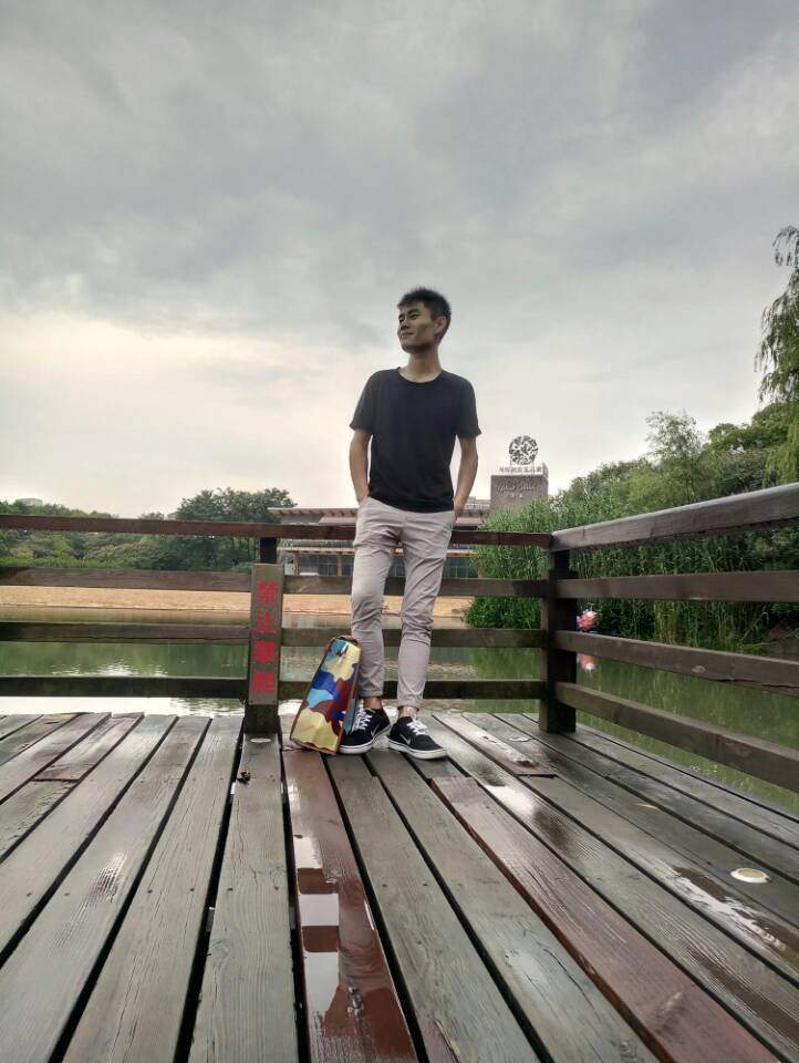两只鹅（Cover 百川）封面