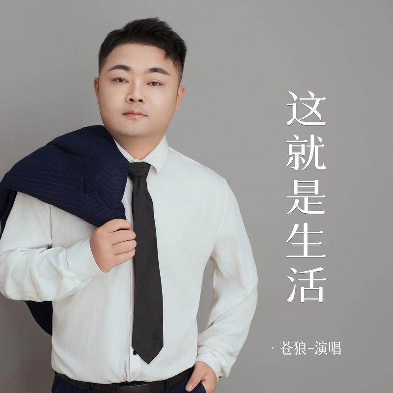 这就是生活 (伴奏)封面