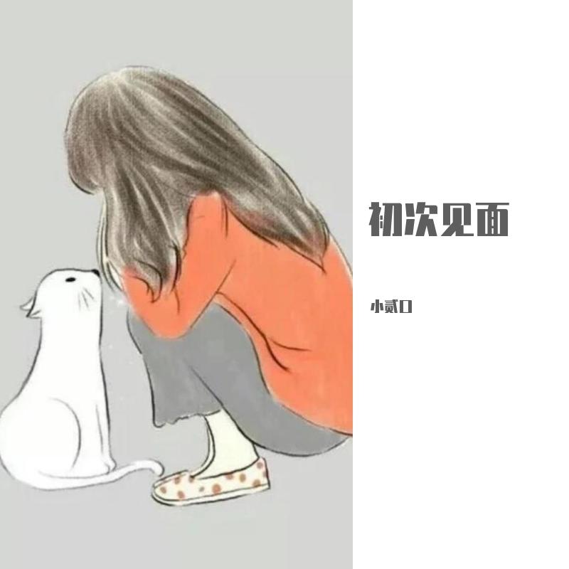 玛卡瑞纳(磁性女声)封面