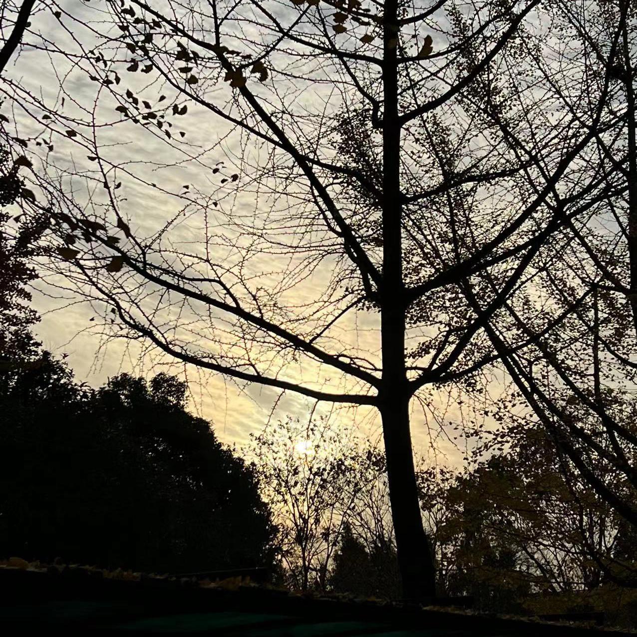 這份情 - 千万君封面