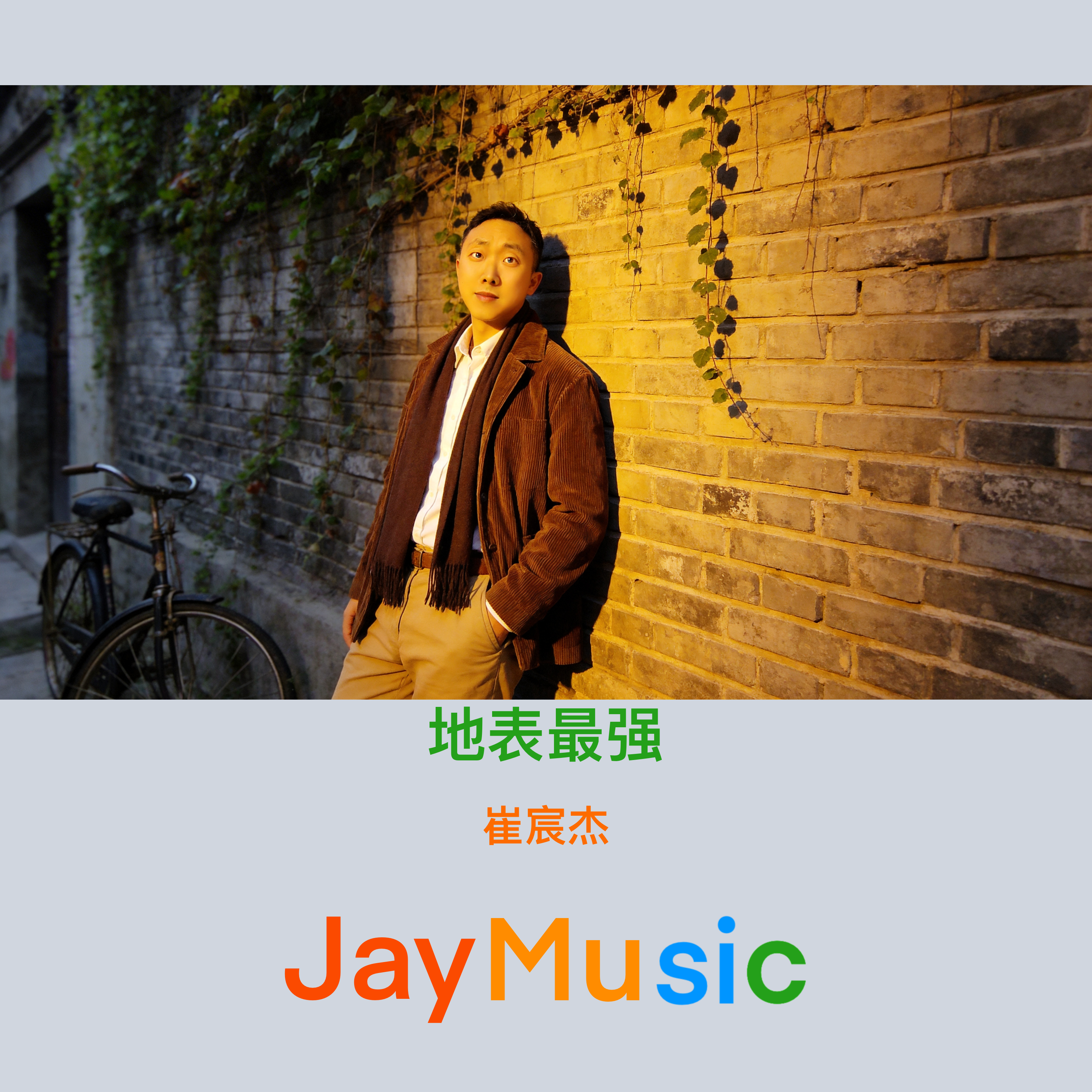 本草纲目封面