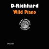 D-Richhard - Wild Piano