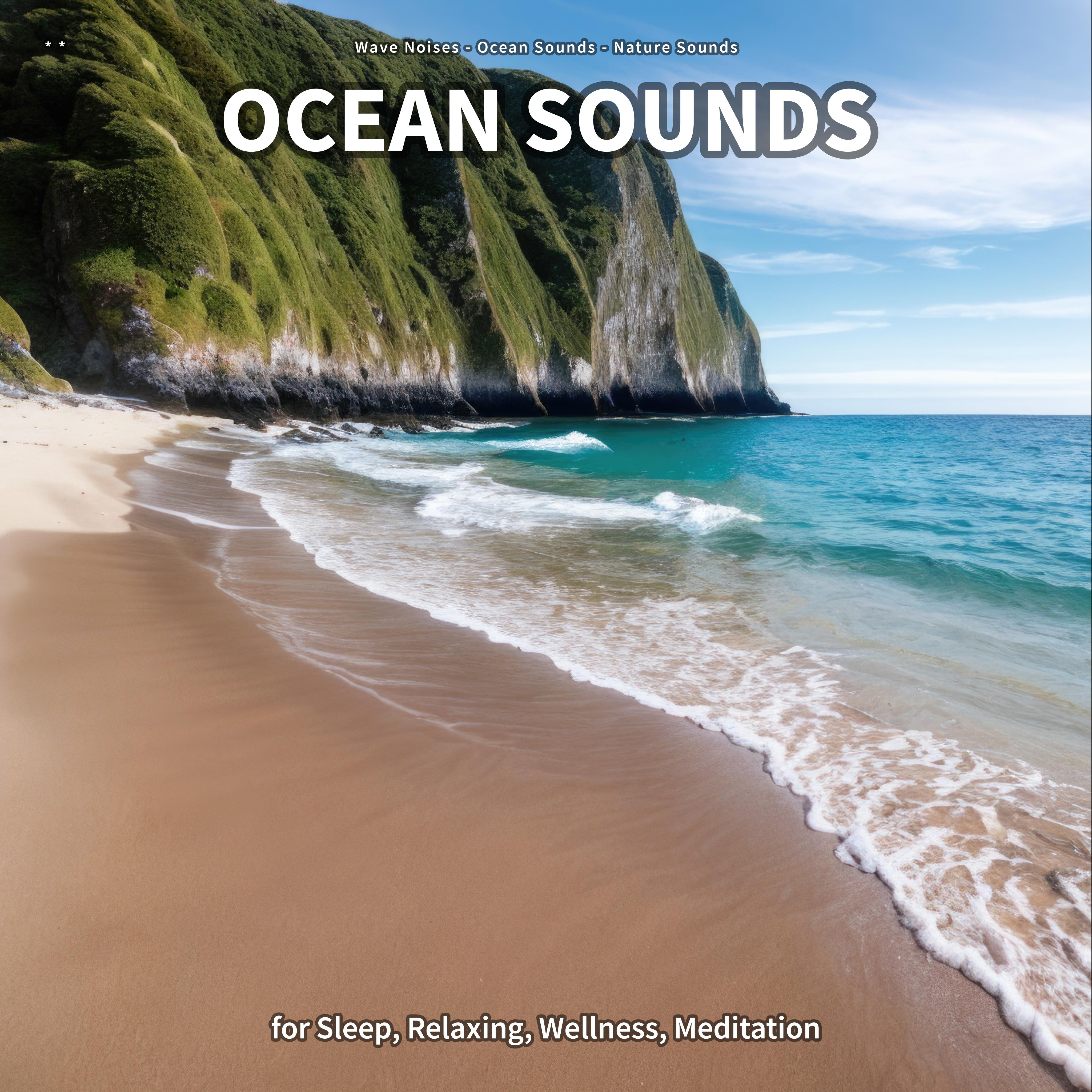 Ocean Sounds, Pt. 69