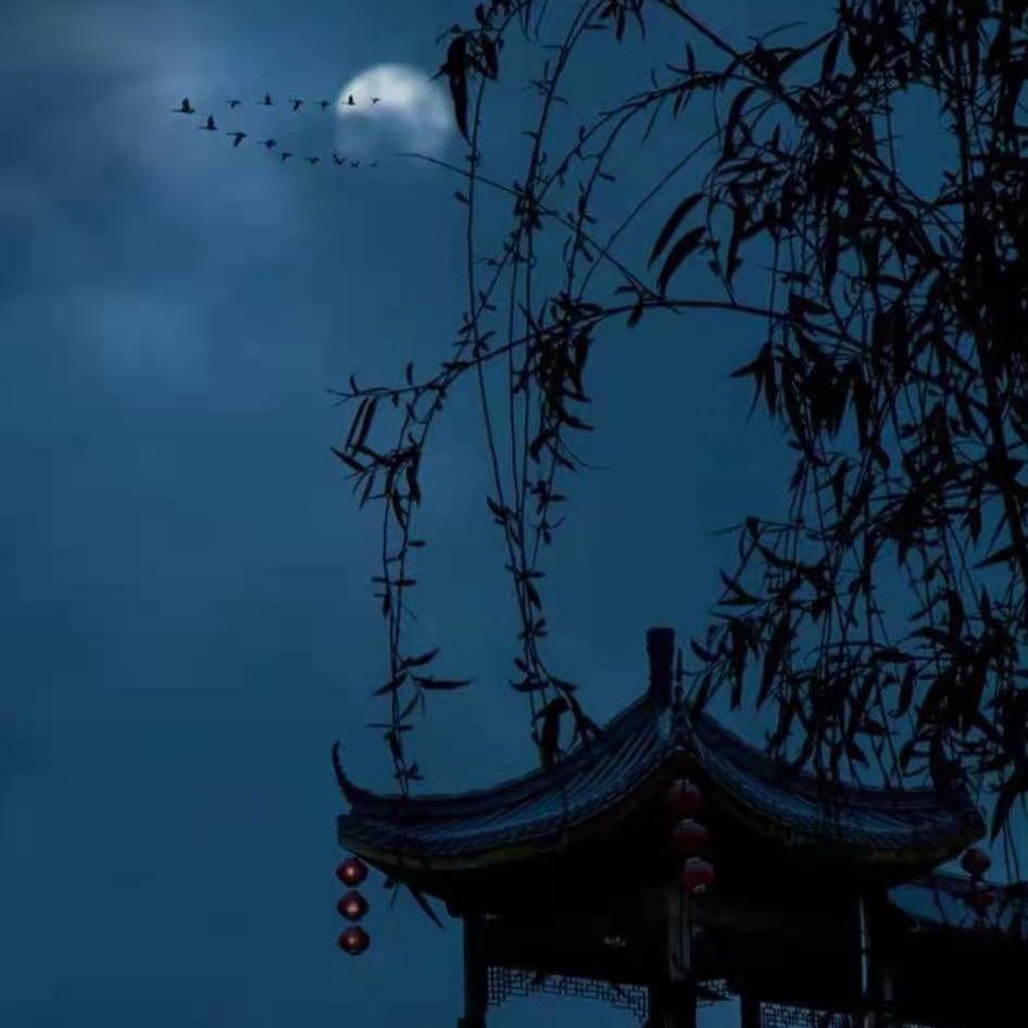 燕云十六州封面