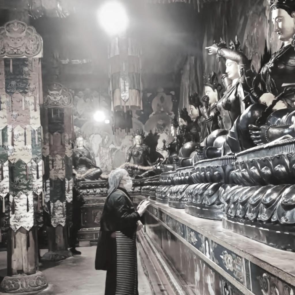 养鱼青年的珠海生活