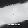 柳李 Atom Panda - Falling Down (Original Mix)
