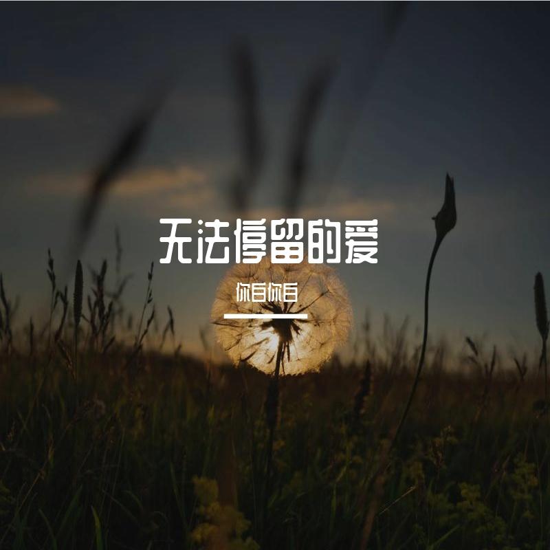 无法停留的爱封面