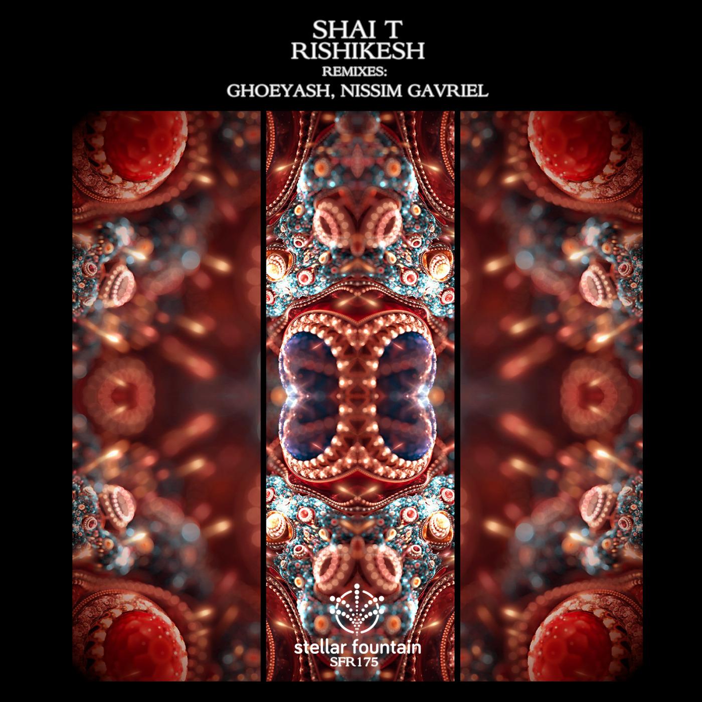 Rishikesh (Nissim Gavriel Remix)