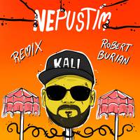 Nepustím (Remix)