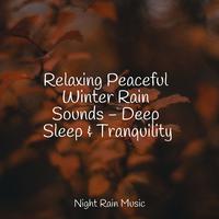 Relaxing Peaceful Winter Rain Sounds - Deep Sleep & Tranquility