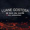 DJ TOM DA NORTE - Luane Gostosa