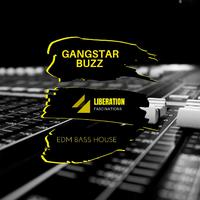 Gangstar Buzz: EDM Bass House