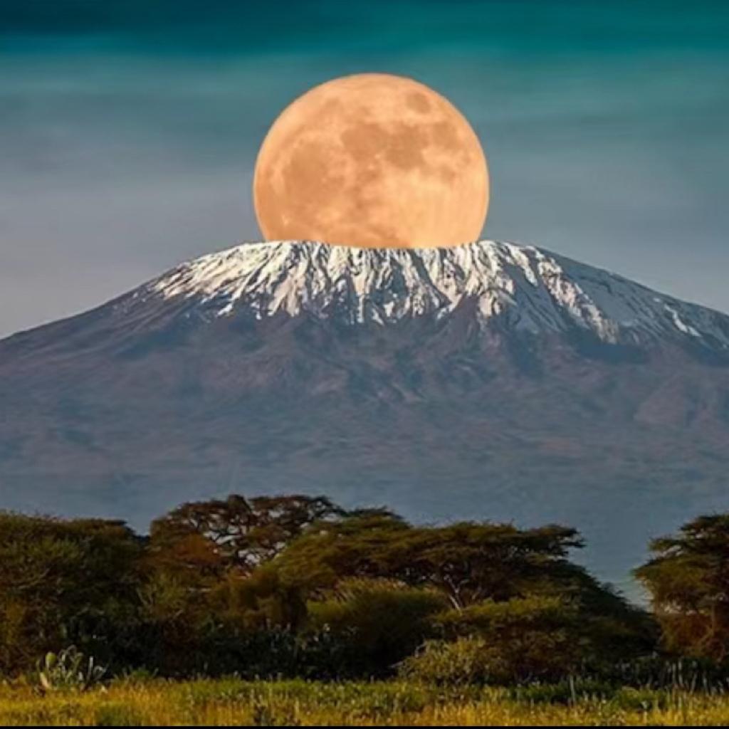 Afro 风格歌单｜盛夏节奏